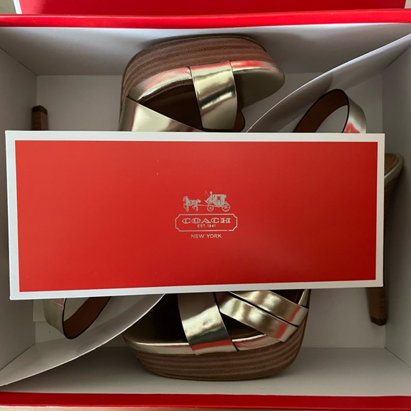 COACH Dani Metallic Platinum Mirror Heels (like new) - Picture 15 of 16